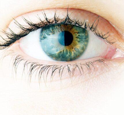 Lasik Laser Eye Surgery Stuttgart Lasik Germany